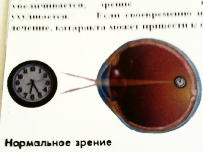  (700x525, 55Kb)
