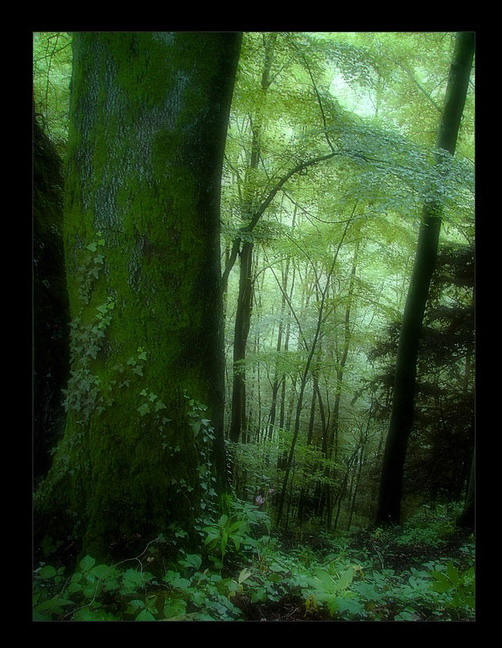  (502x648, 71Kb)