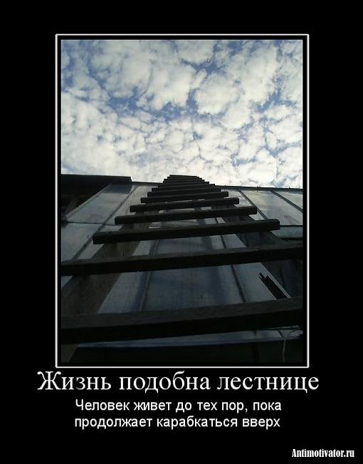  (510x651, 46Kb)