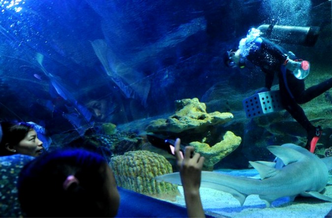   Blue Zoo Aquarium , , 3  2010 .