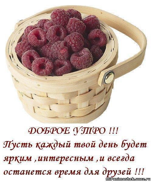 http://img1.liveinternet.ru/images/attach/c/1//62/533/62533926_dobroe_utro6.jpg