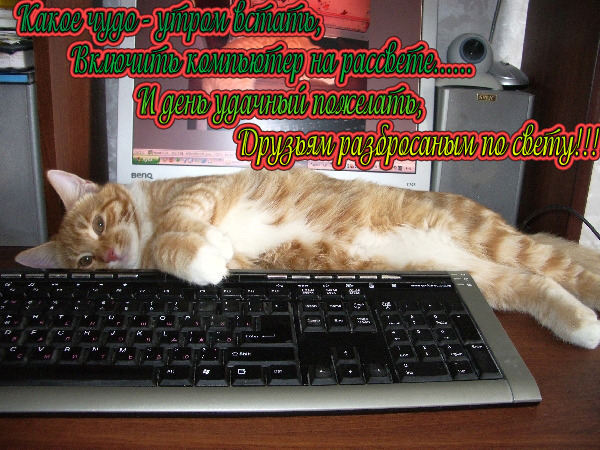  (600x450, 159Kb)