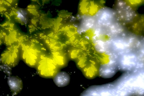  (500x332, 40Kb)