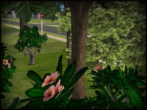  (600x450, 76Kb)