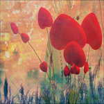 486  (150x150, 32 Kb)