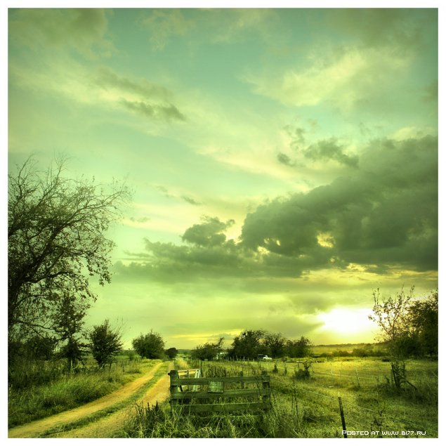 1242806277_after_rain_by_er0k (635x635, 77 Kb)