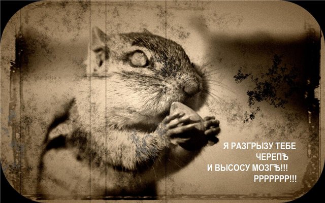  (640x400, 64Kb)