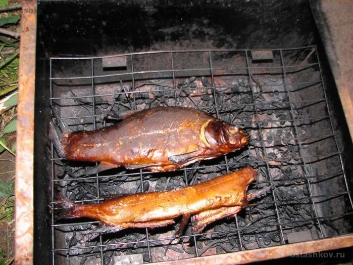 Способ горячего копчения рыбы