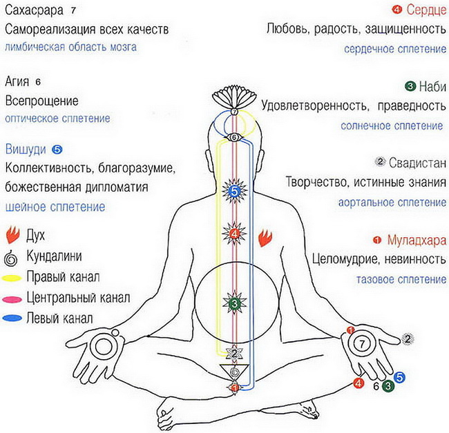 Чакры ног. Схема тонкого тела Сахаджа йога. Схема чакр Сахаджа йога. Энергетические центры человека чакры Кундалини. Кундалини чакры схема йога.