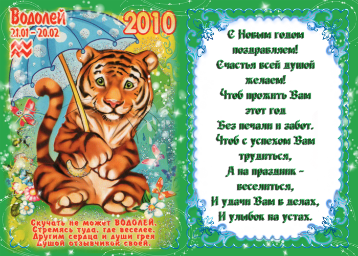 Стих про год тигра. Стих с новым годом тигра. Пожелания с тигром на новый год. Год тигра стихи на новый год.
