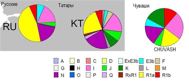 Диаграмма народов сибири