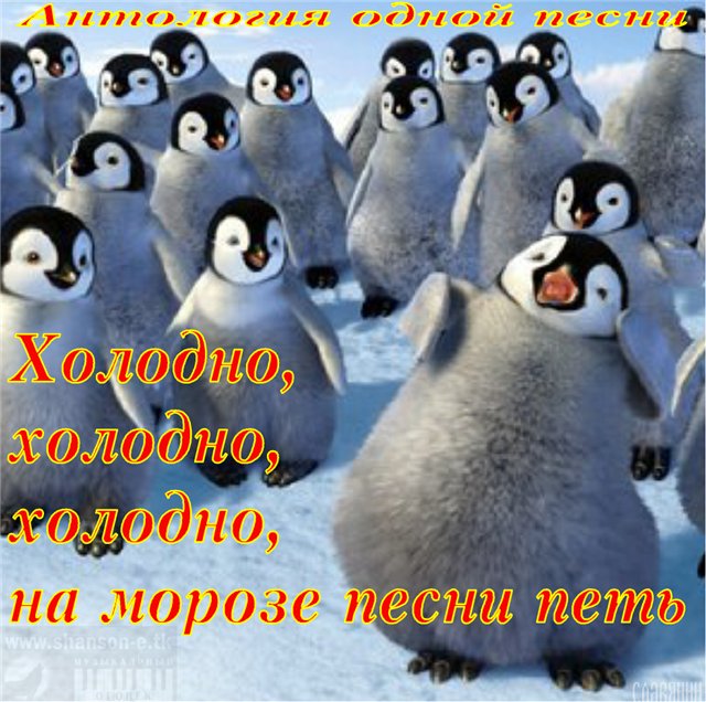 Песня называется холодно. Холодно. А мы пингвинчики а нам не холодно. Холодно холодно. Холодно Мороз.