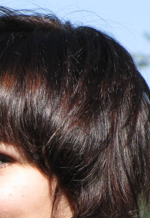 Краска палет каштановый фото на волосах