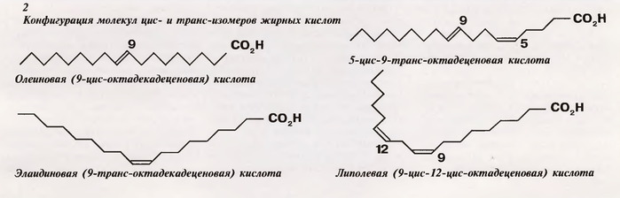 Содержание трансизомеров жирных кислот. Ненасыщенные жирные кислоты цис и транс. Транс-изомеры ненасыщенных жирных кислот это. Цис и транс изомеры жирных кислот. Цис изомеры жирных кислот.