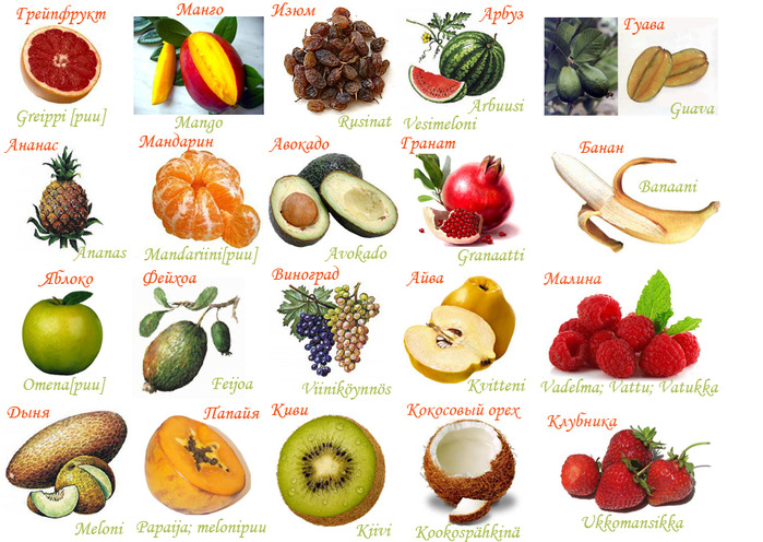 Тропические фрукты список названий и фото