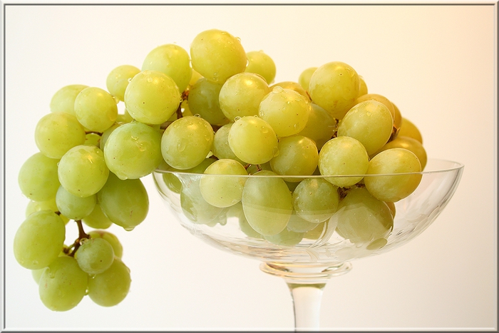 Виноград сеня. Алиготе виноград. Виноград оригинал. Виноград с шаровидной ягодой.