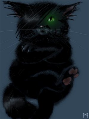 Картинка хоррор кот