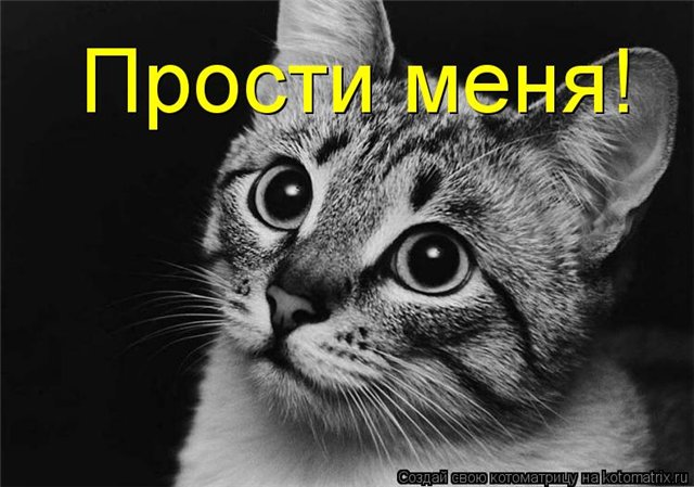 Пожалуйста покажи картину