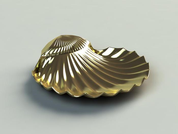 D shell