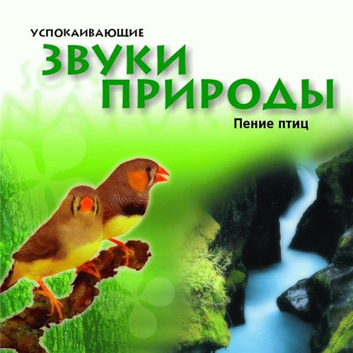 Успокаивающие звуки. Диск звуки природы для детей. Звуки природы обложка. Утешающие звуки природы. Аудиозаписи со звуками природы.