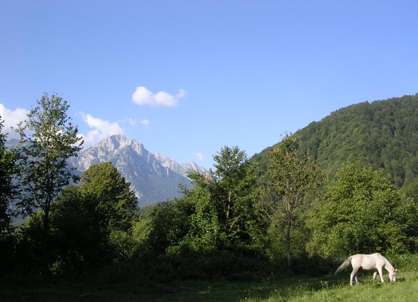 Гора царя баграта абхазия фото