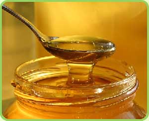 honey (300x244, 9Kb)
