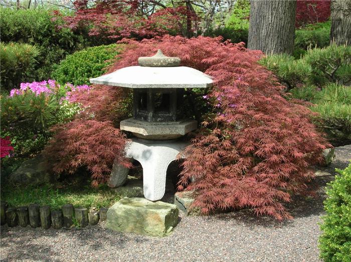 Как получить код в японский сад краснодар. Коичи Курису ландшафтный дизайнер его сады. Коичи Курису. Японский сад в Ботаническом саду СПБ. Ботанический сад СПБ японский садик.