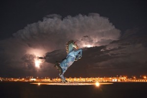 Denver Horse (300x200, 11Kb)