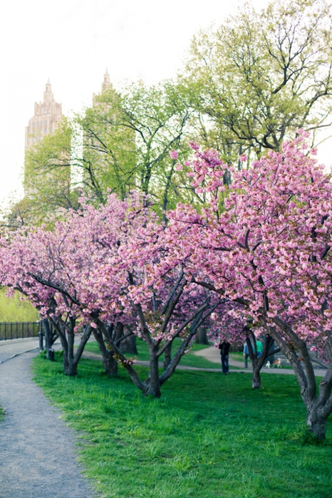   - Central Park/2822077_Central_Park (466x700, 325Kb)