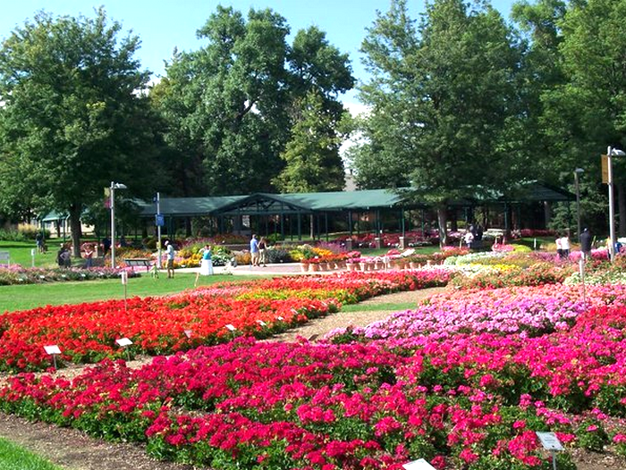 4305652-Annual-Flower-Trial-Garden-at-Colorado-State-University-1.jpg ( JPEG, 600x450 ) (700x526, 964Kb)