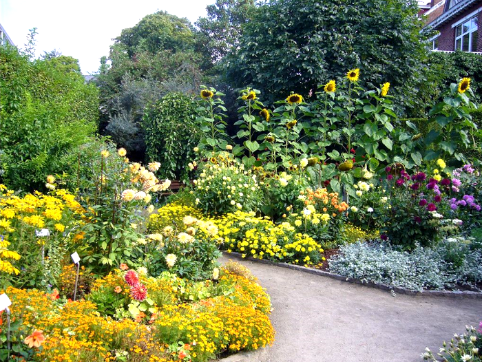 Flower+Garden+in+Leuven_+Belgium.JPG ( JPEG, 1025x772 ) -  (72%) (700x526, 968Kb)