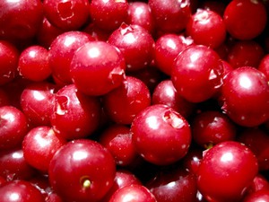 _3211FHDA6 (300x225, 25Kb)