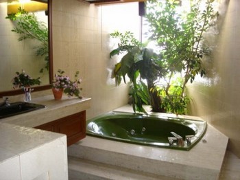 Растения в интерьере ванной