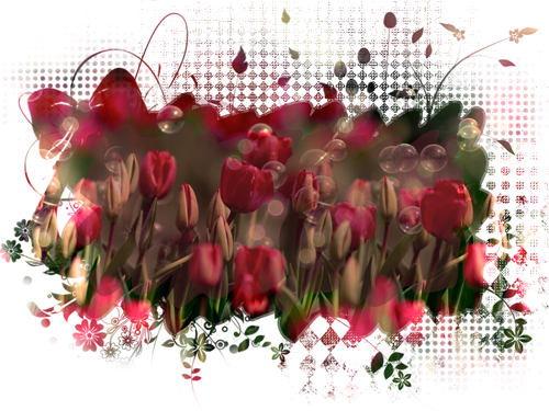 135632-1152x86458 (500x375, 444Kb)
