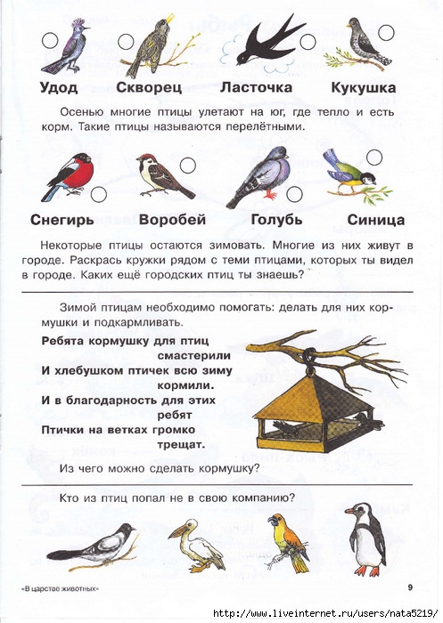 Перелетные птицы план старшая группа