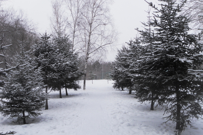 SDC10629 (700x466, 241Kb)