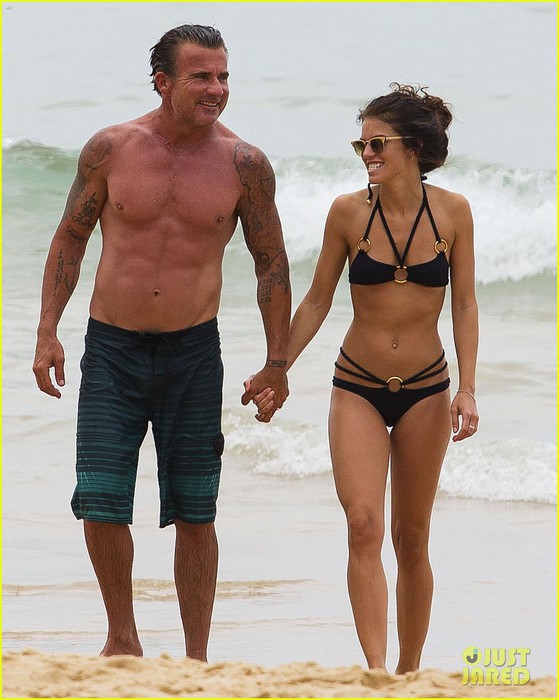 annalynne-mccord-bikini-beach-babe-with-shirtless-dominic-purcell-01 (559x700, 93Kb)