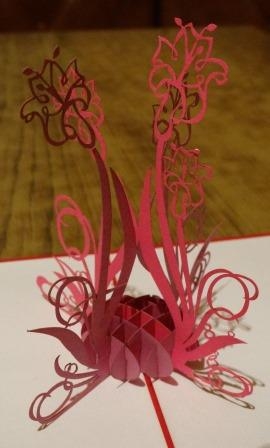 DSC01509 (270x448, 92Kb)