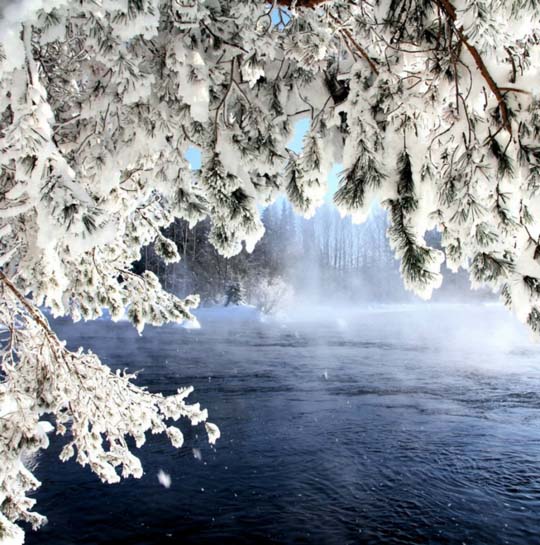 zima_priroda_zimoy_foto_21 (540x545, 96Kb)