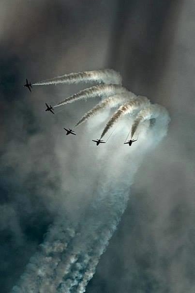 1509931_464187290358398_1508149468_n (403x604, 45Kb)