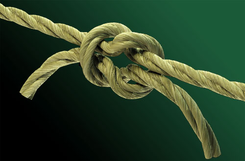 4397599_Rope_1 (500x330, 29Kb)