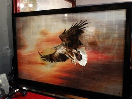 DSC00644 (448x336, 112Kb)