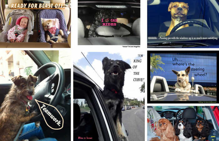 bbab9690efabe292e05184a646cc7674 (700x451, 515Kb)