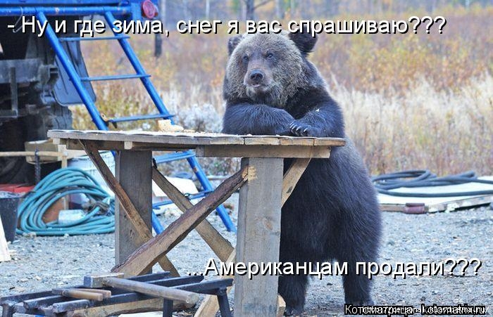 http://img1.liveinternet.ru/images/attach/c/10/109/151/109151915_large_kotomatritsa_d__1_.jpg