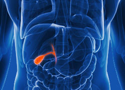 gallbladder (250x180, 26Kb)