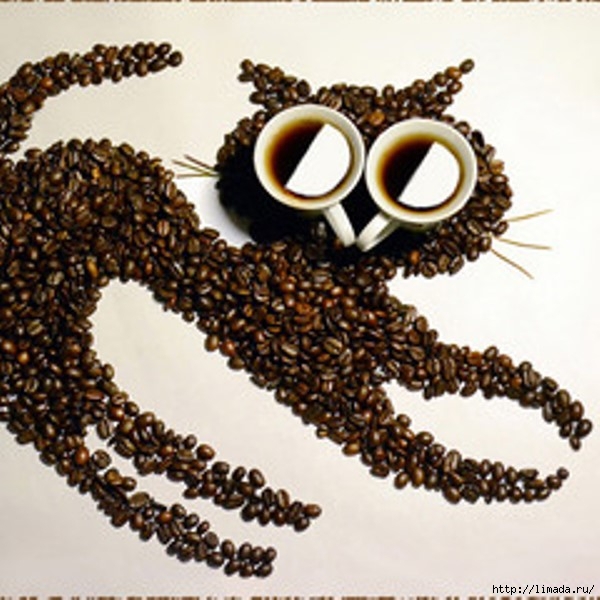 240xdsc_0015-coffee-cat (600x600, 198Kb)