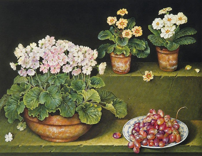 93454685_large_PRIMROSES20AND20GRAPES2061x8120cms20Gouache201988 (700x539, 145Kb)