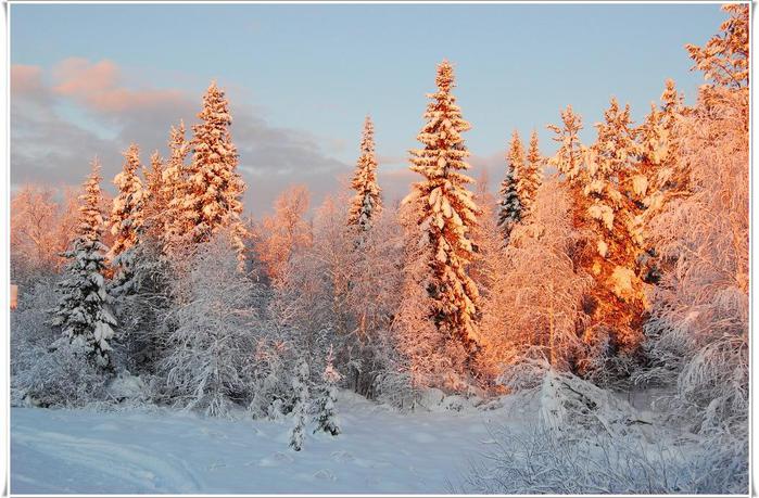  Lapland.     (700x459, 76Kb)