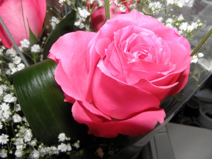 /4737833_24_mart_2013_046_novii_razmer (700x525, 107Kb)
