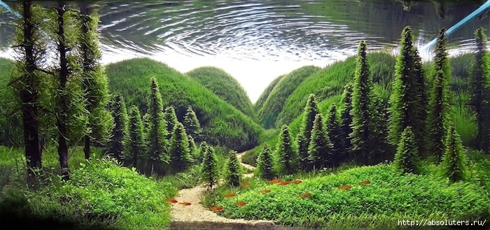(1) (700x329, 267Kb)